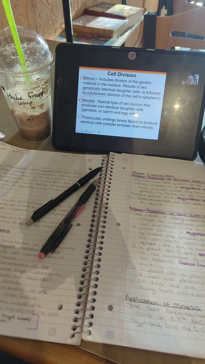 LunasLibary's tweet photo. Study mode: ON 🧠✨

#studytwt #studentlife #studymotivation https://t.co/QyDu3szP52