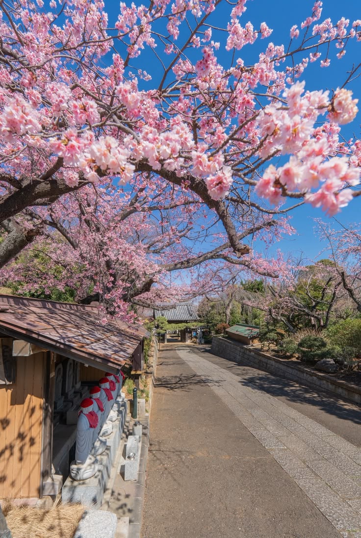 Beauty of Nature. tweet media