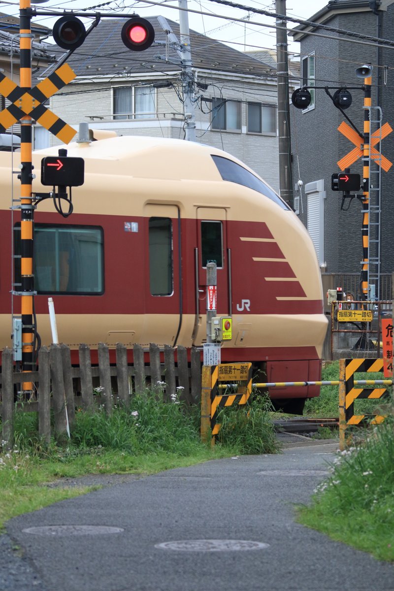 germankei1's tweet photo. 2026.4.25　特急「絶景ネモフィラ川越号」　E653系　K70編成　指扇-西大宮
🪻春爛漫なのを感じさせられる🚄臨時列車が今年も運行されてますね
送込みと出発を近所から🙌 https://t.co/bQTn0eMZSM