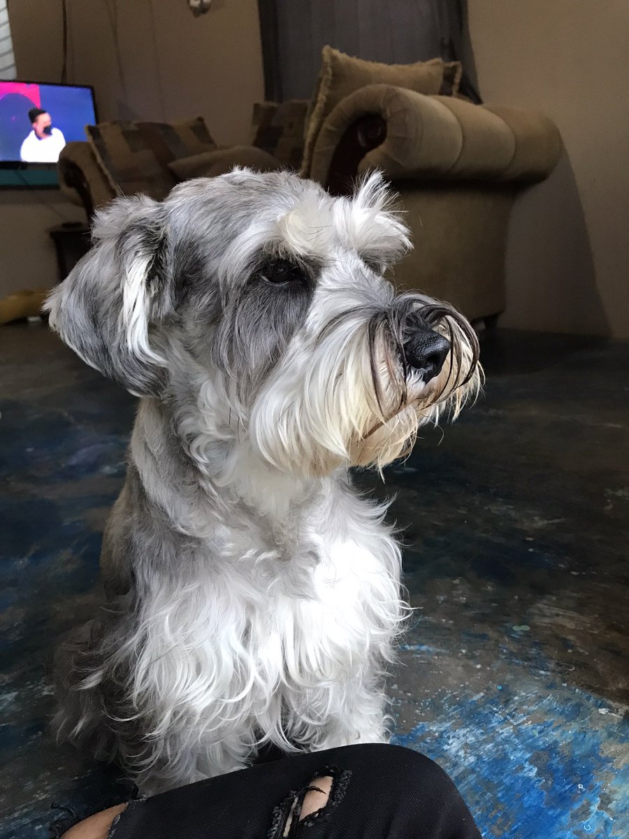 AstridG_4's tweet photo. Te voy amar por siempre mi tobby🥺💔😫 https://t.co/9IOMQKTU5R