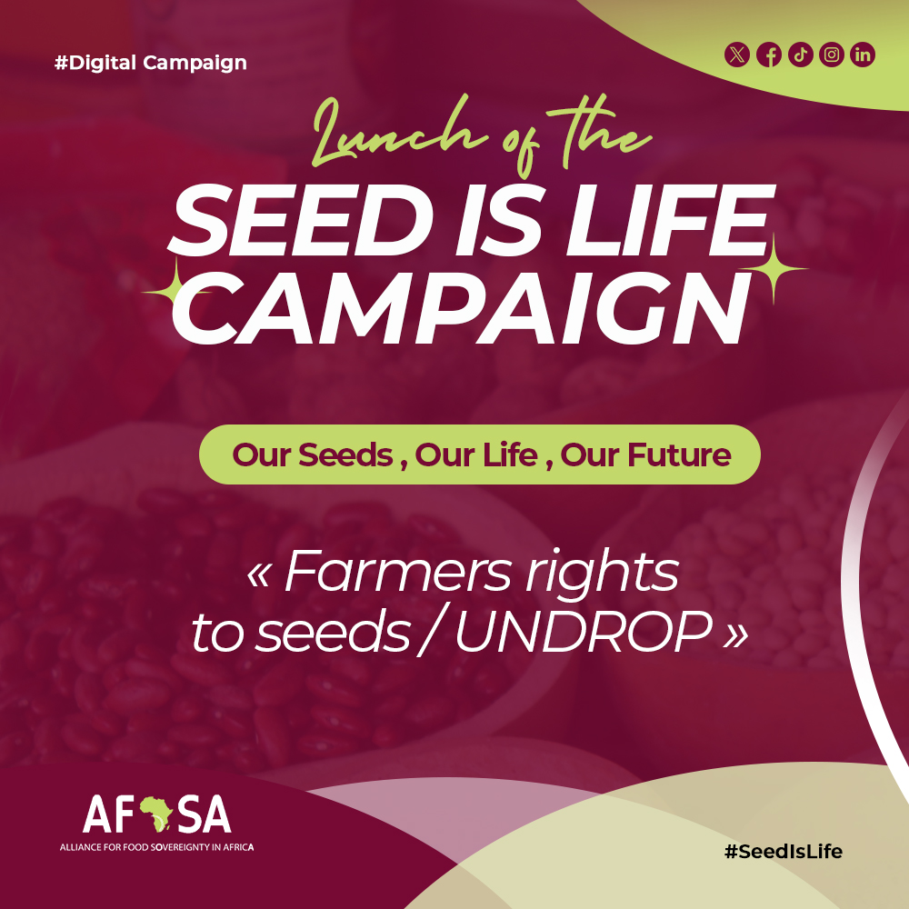 AFSA tweet media
