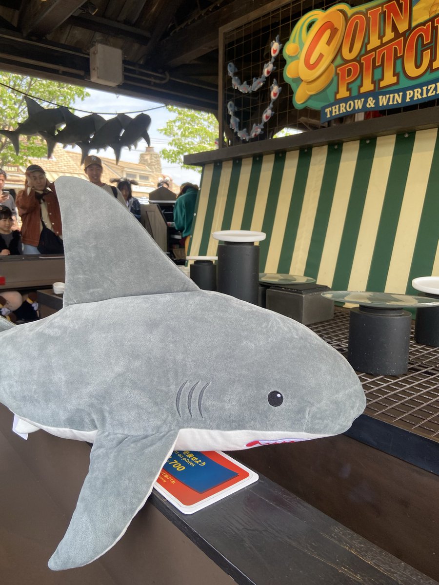 にゃんちゃ🐈‍⬛💓 tweet media