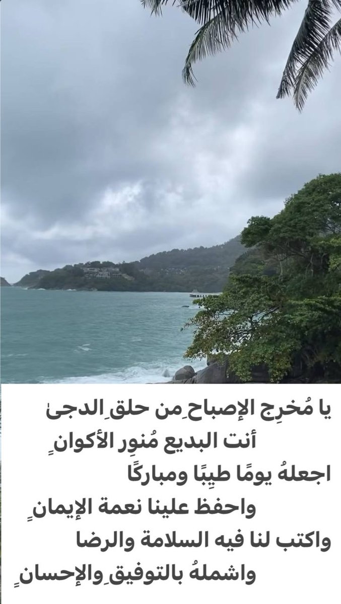 هدوءوسط الضجيج tweet media