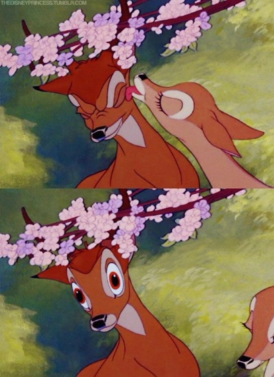 Arceus' funniest clown(we fist fighting llama god) tweet media