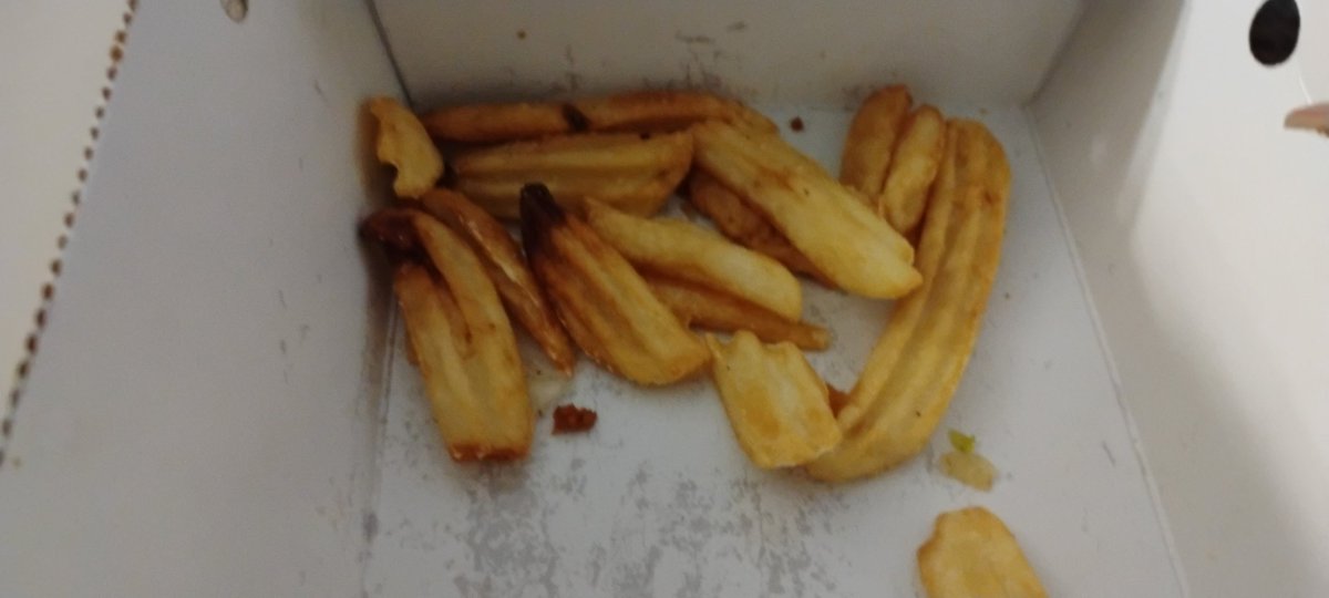 nerdyrpgirl's tweet photo. Damn @DennysDiner I didn't know potatoes were so expensive that you could only put in this amount of fries to my order. https://t.co/L3Am6BBPPW