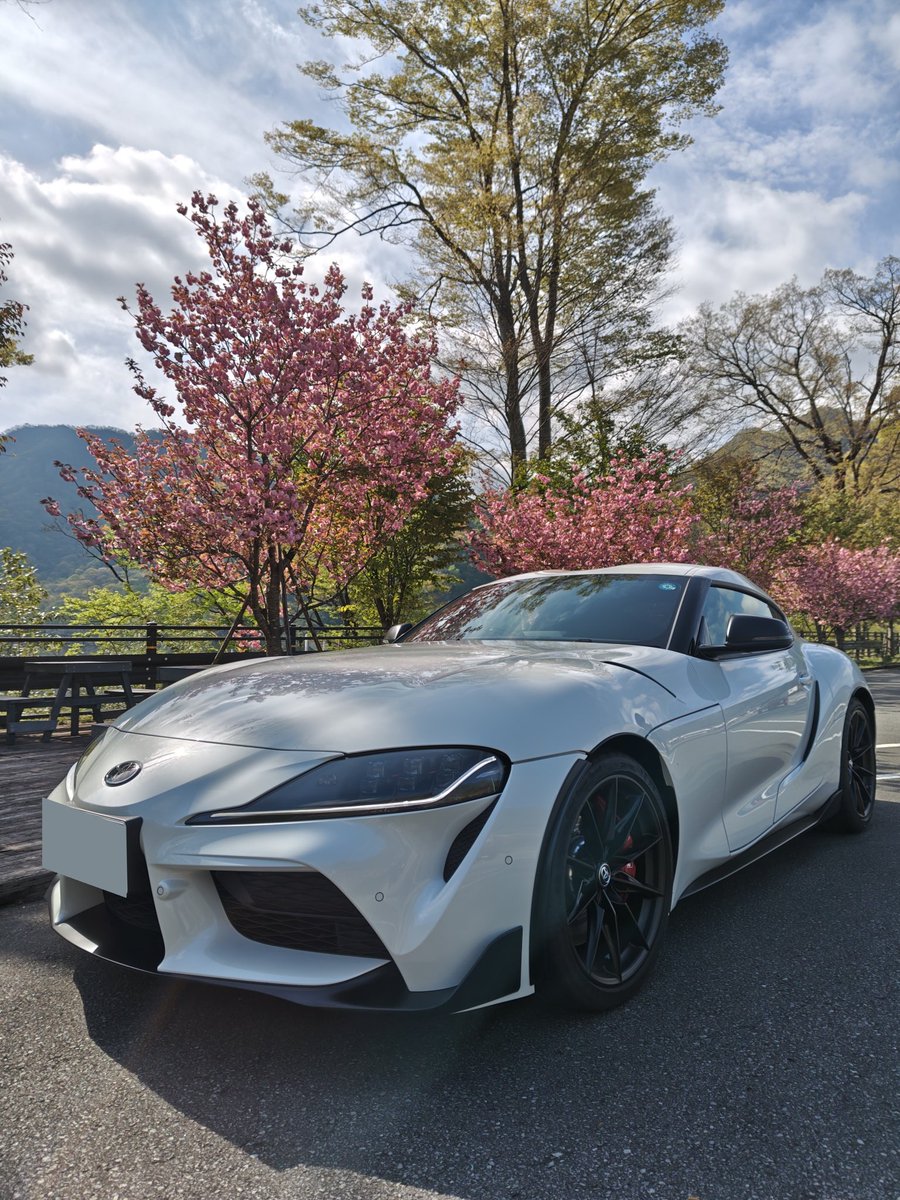 スパビア♨️🍺🏎️💨 tweet media