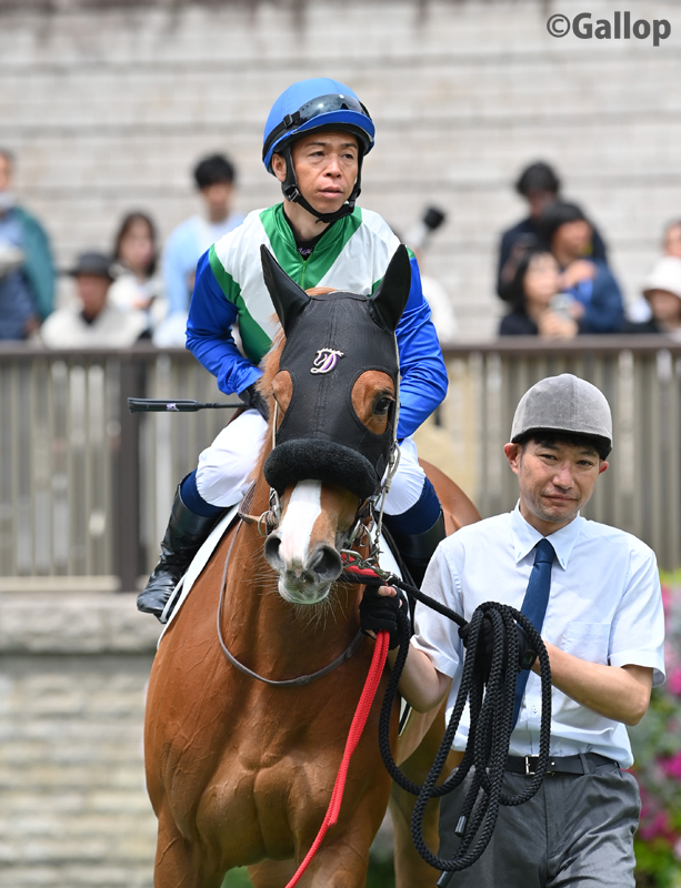 週刊Gallop（Weekly Gallop） tweet media