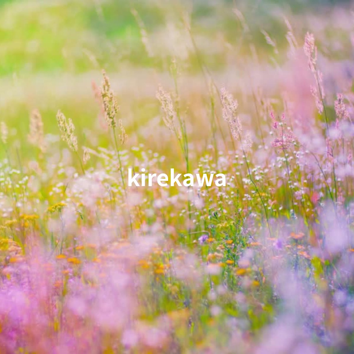 ／
💐きれかわ💐ガチャ🎉
＼

プロフ『きれかわ』セラピストさん限定❣️
**┈┈┈┈┈┈┈┈┈┈┈┈┈┈┈┈┈**

📣フリーでも🆗

ミルクルポ × モカルポ
<a href="/m_m_repos/">ミルクルポとモカルポ</a>

🥇 2,000円OFF
🥈 1,000円OFF

【参加方法】
① このアカウントをフォロー
② このポストを いいね＆リポスト