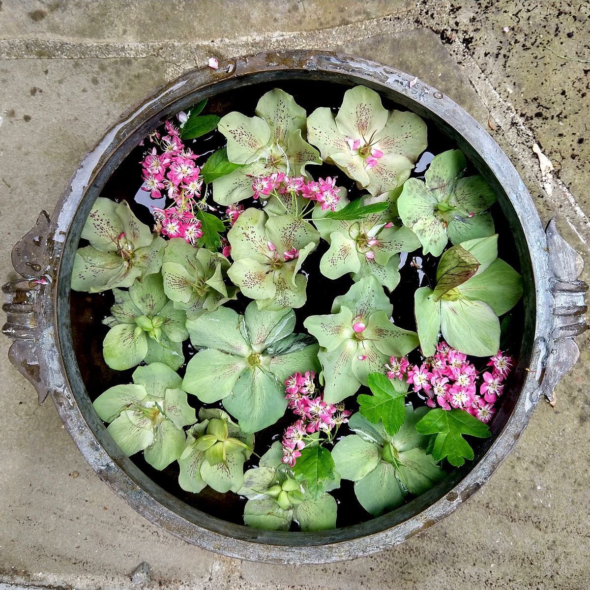 َ (@147luv) on Twitter photo 