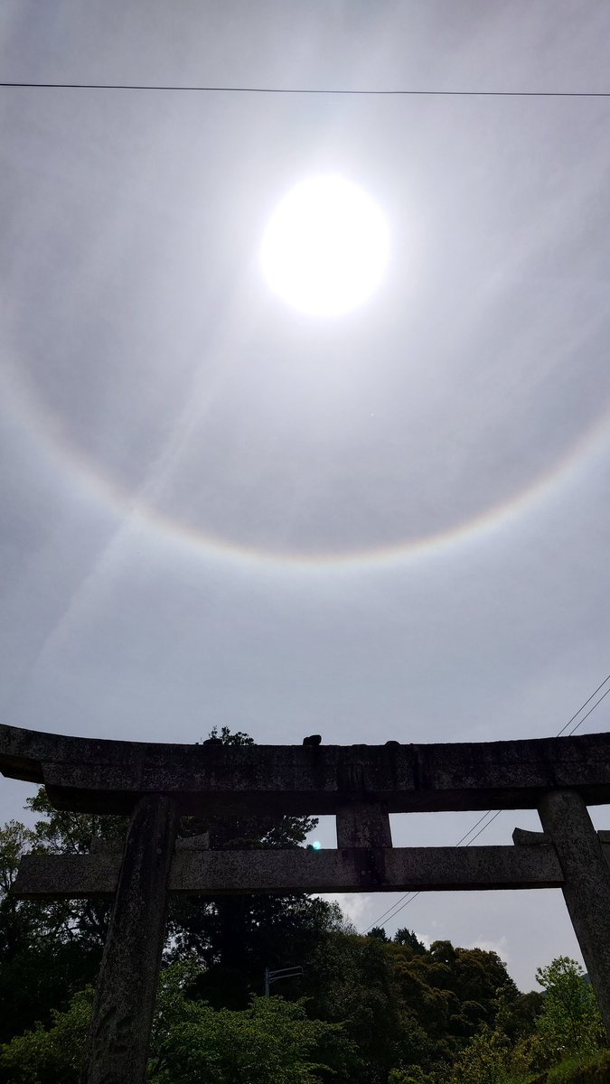 toremado55's tweet photo. ふと空を見上げれば日暈が… https://t.co/ecm6iqDfuo