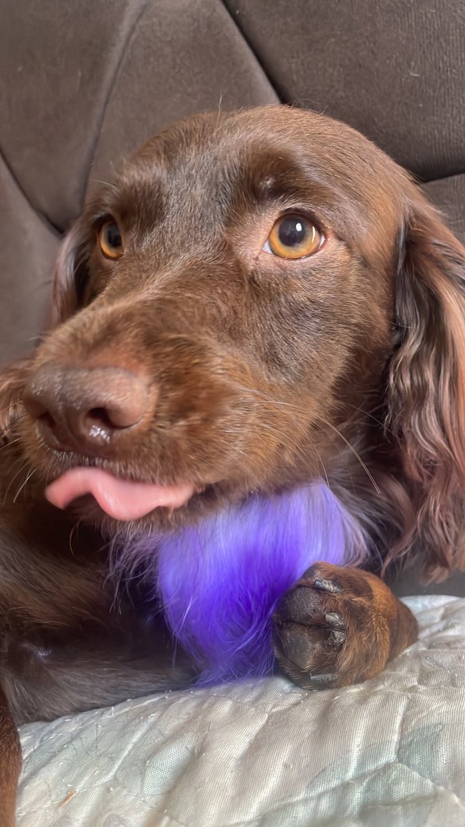 gio ⊙⊝⊜ tweet media