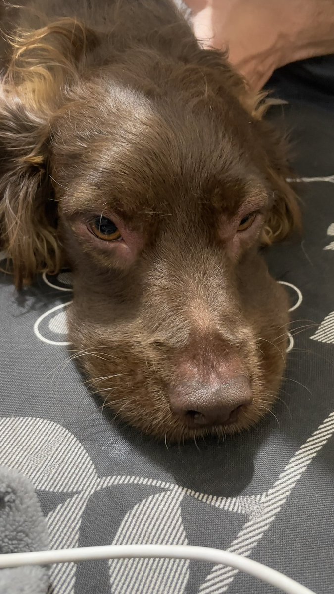 gio ⊙⊝⊜ tweet media