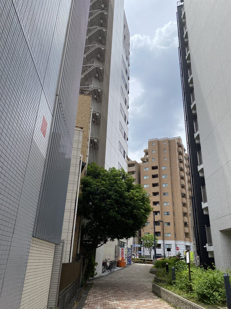 はるな-HARUNA tweet media