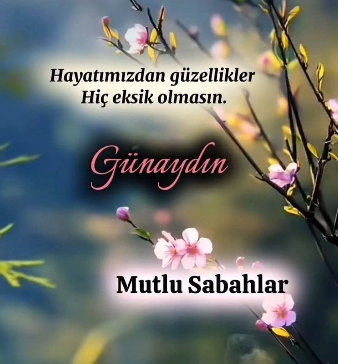 Hüseyin Kaman tweet media