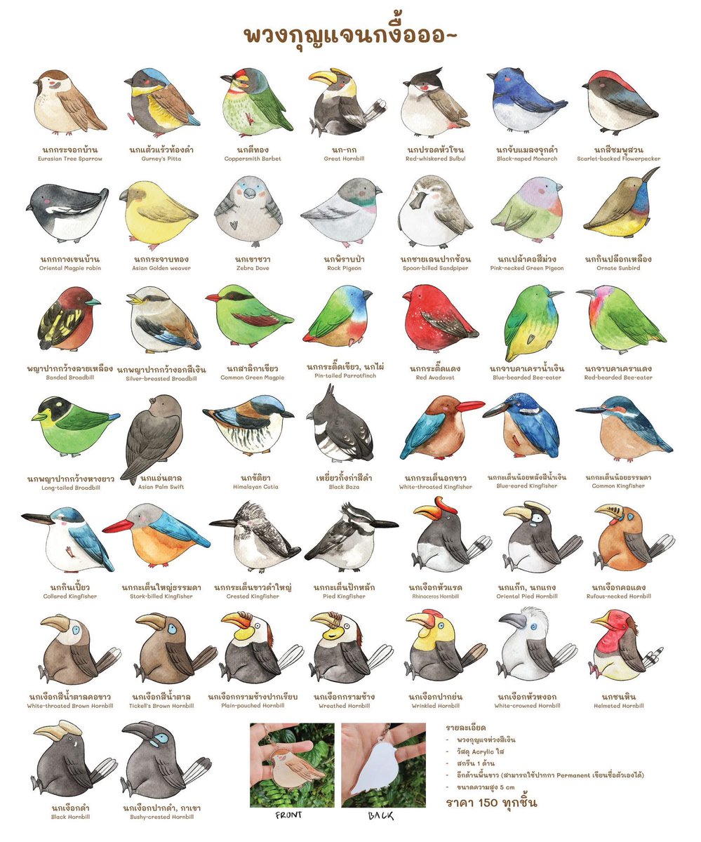 Sweetpigsly🎄 tweet media