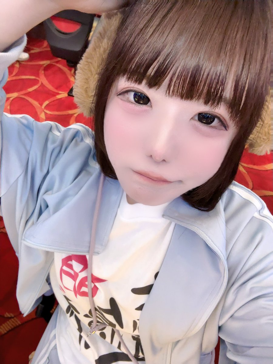 しばいぬ🐶ྀི🩵@アナスロ調査班 tweet media