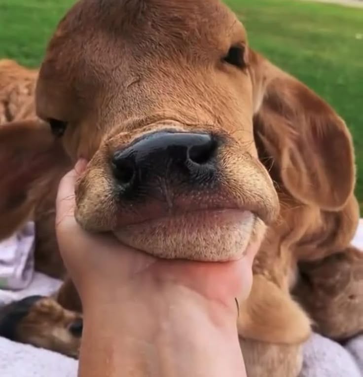 He Who Witnesses tweet media