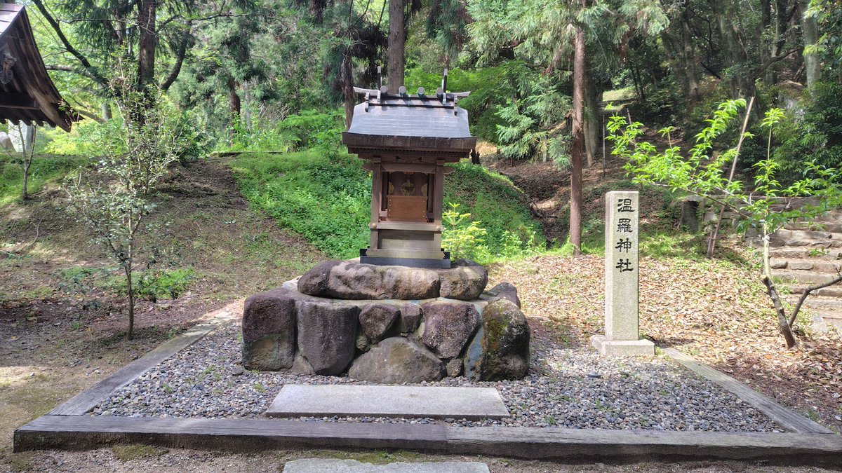 安藤 雅生“さすらいの格闘志士” tweet media