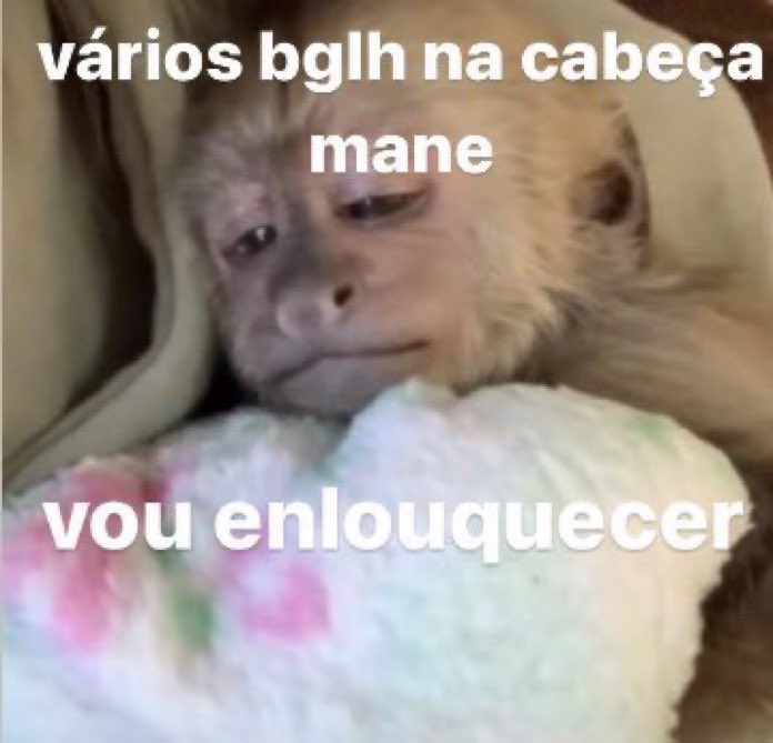 eu toda noite antes de dormir: