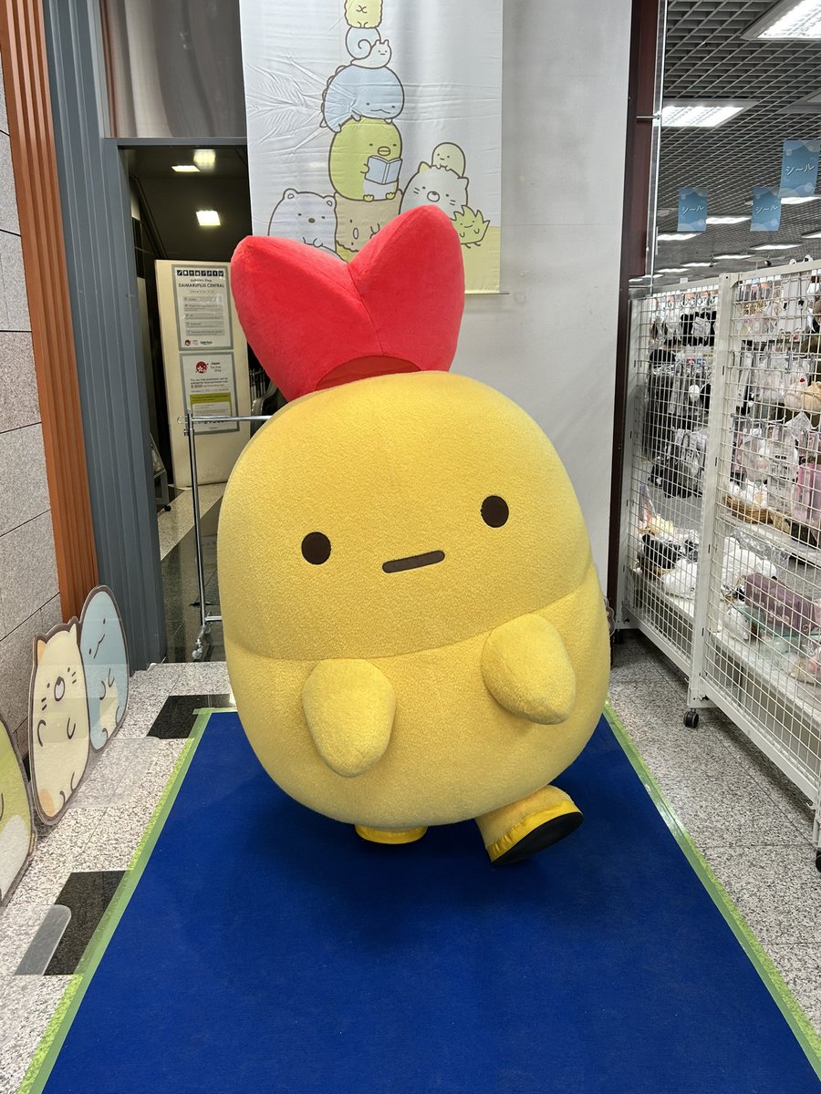 そら꒰ ･ㅇ･ ꒱ tweet media