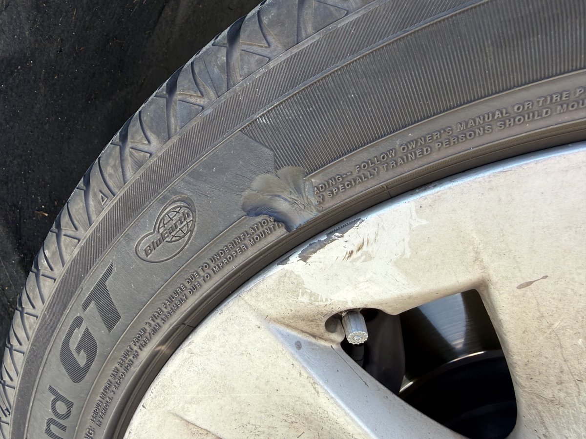 Правда Владимира 🇺🇸🇺🇦🏳️‍🌈 tweet media