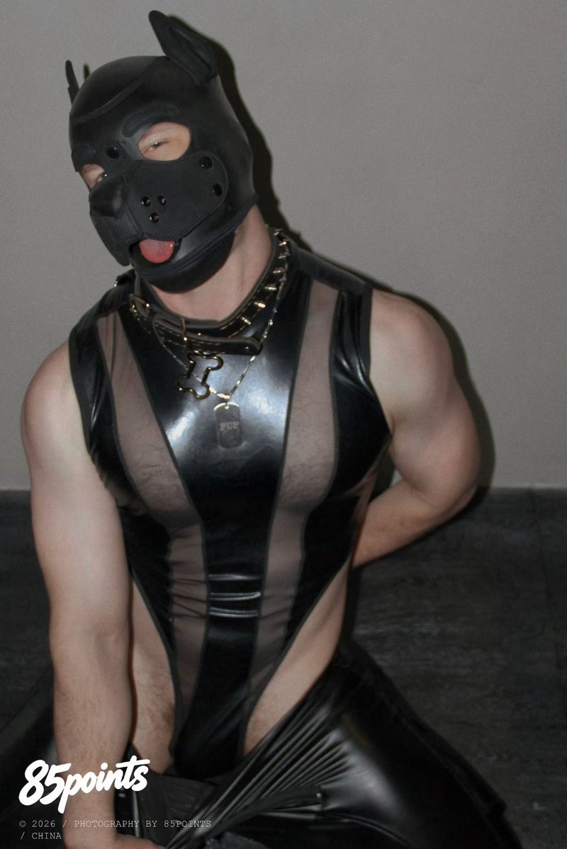 Bad Pup! 📸<a href="/85point_studio/">85point</a>