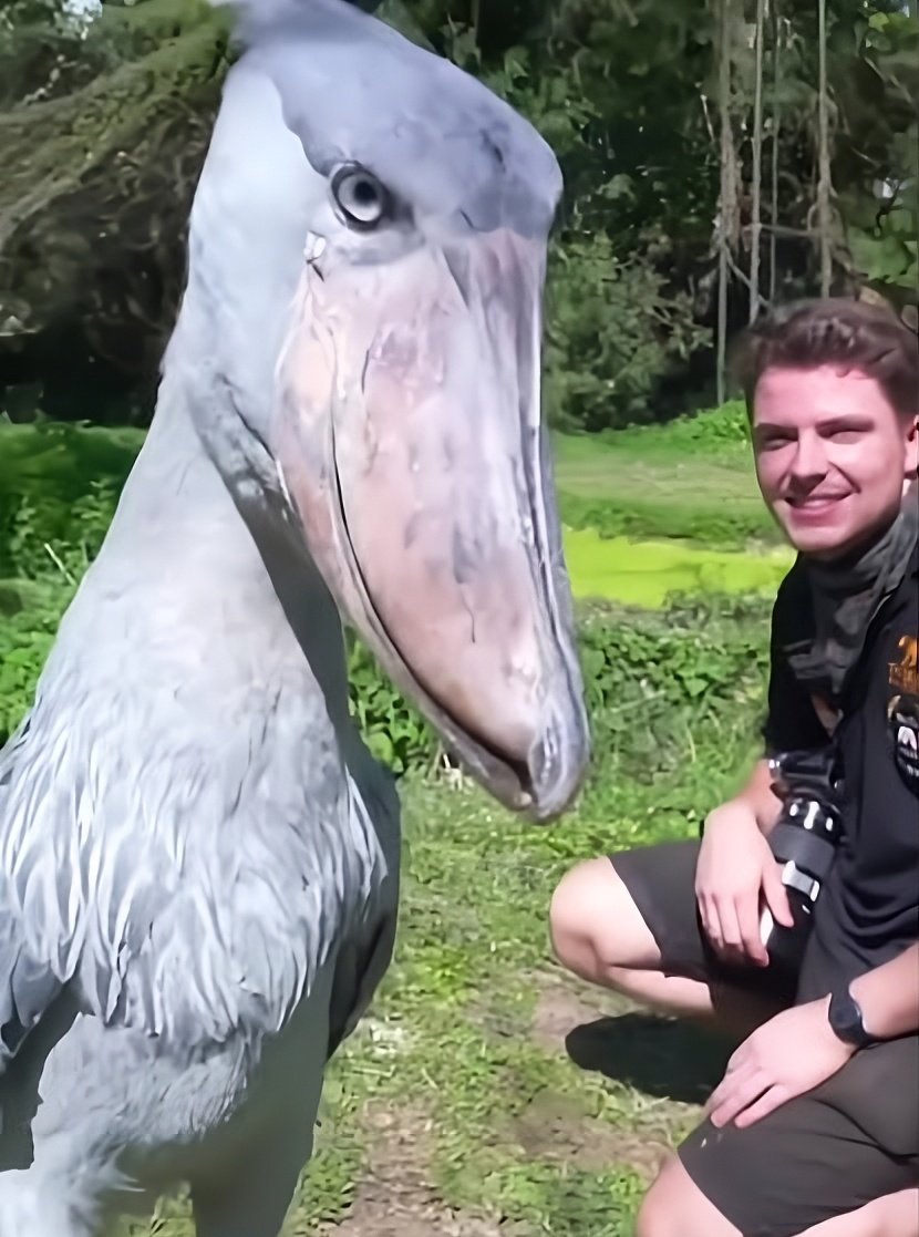 Dravenwe tweet media