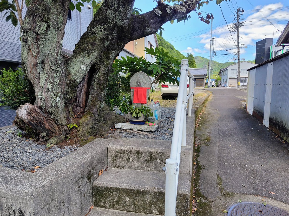 ゆたさん tweet media