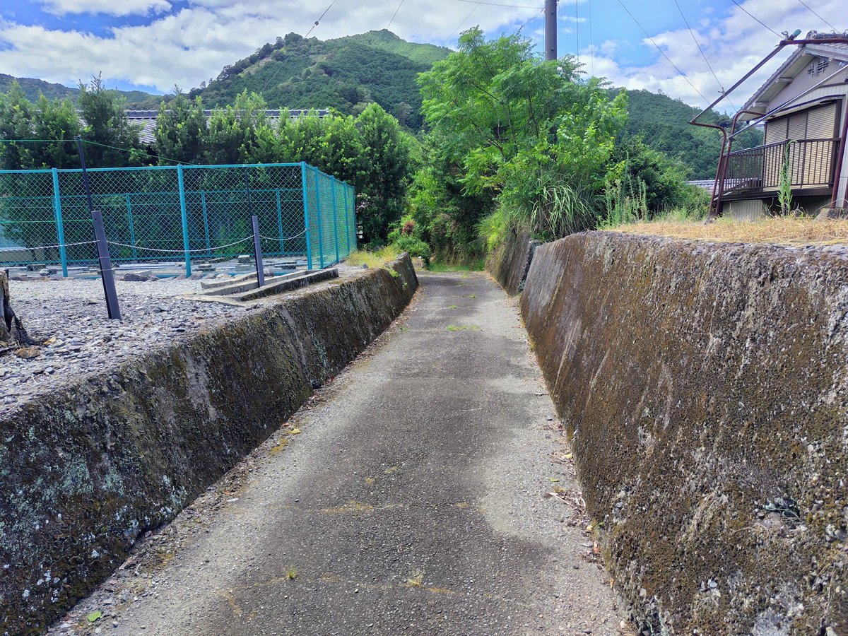 ゆたさん tweet media