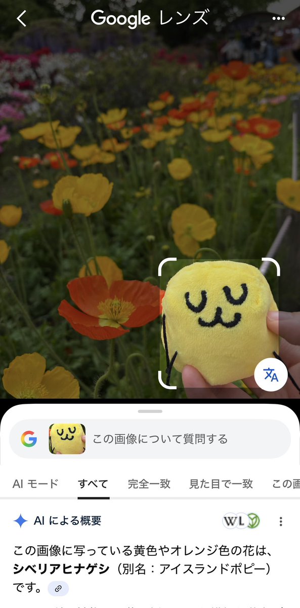 とりかわ tweet media