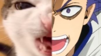 tamajikei's tweet image. lf interactive moots ! #moothunt 

— 16, she, filo
— mha, hq, aot, jjk, kny, alnst, etc
— not new to #anitwt
— ifb ! i am an #active liker

( ˶°ㅁ°)ꜝꜝ .  more on my carrd 1-800-k.carrd.co