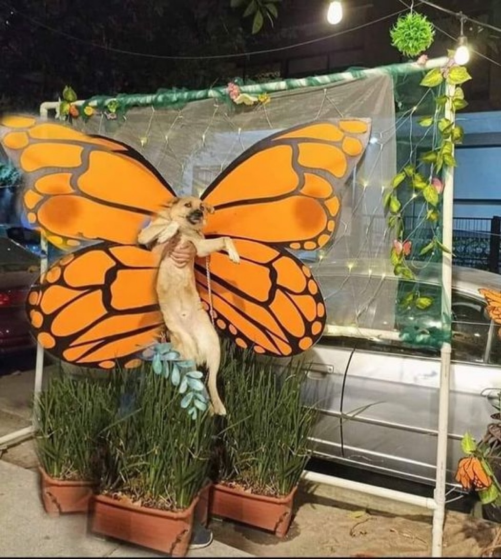 Márcia, na rua eu era menos humilhado