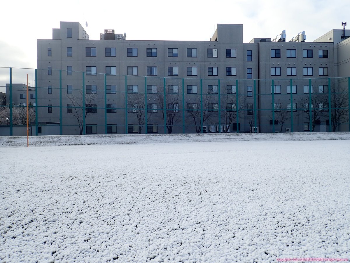 北見の積雪観測情報（気象予報士 白川龍生） tweet media