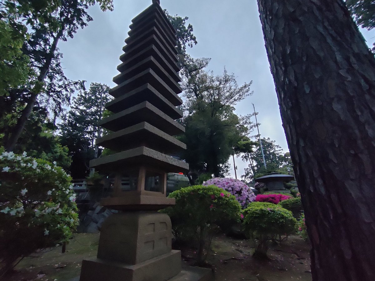 つよぽん tweet media