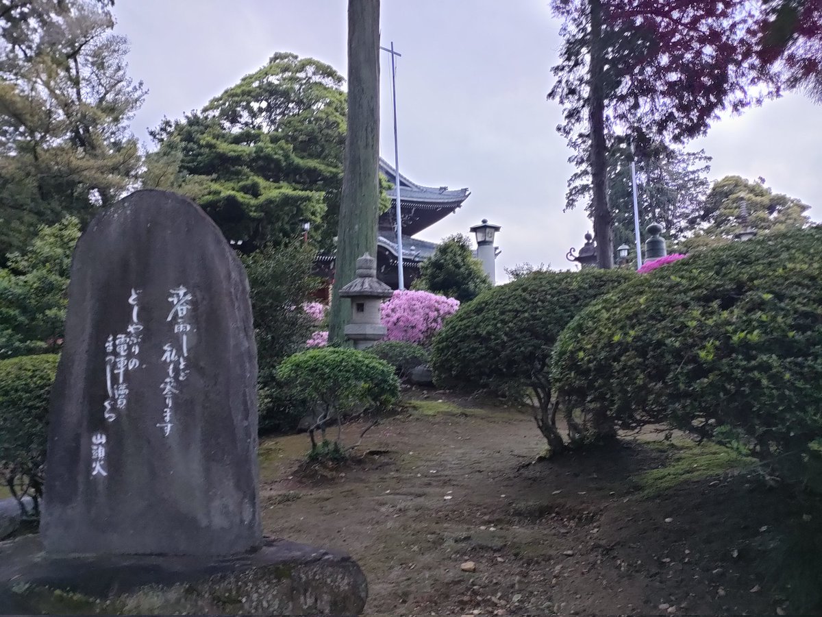 つよぽん tweet media