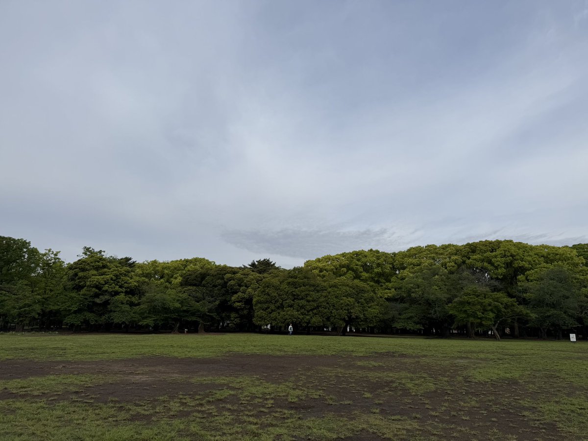 おはようございます