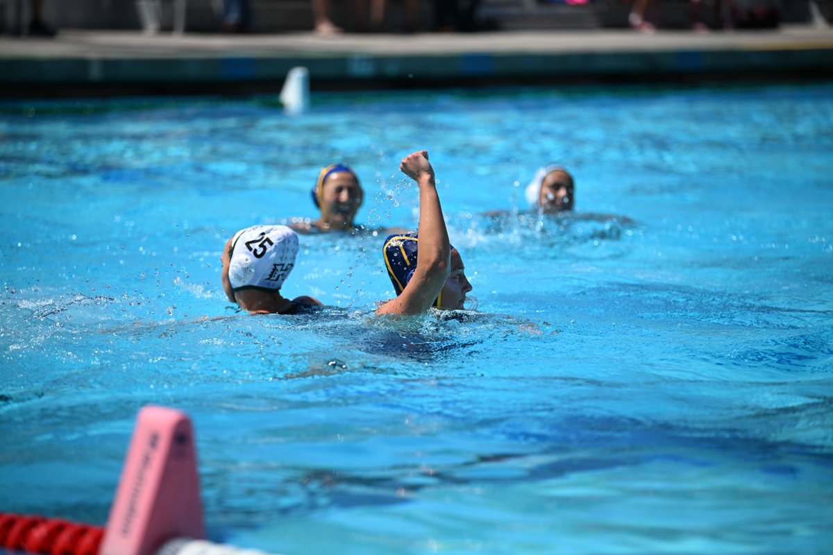 Cal Women’s Water Polo tweet media
