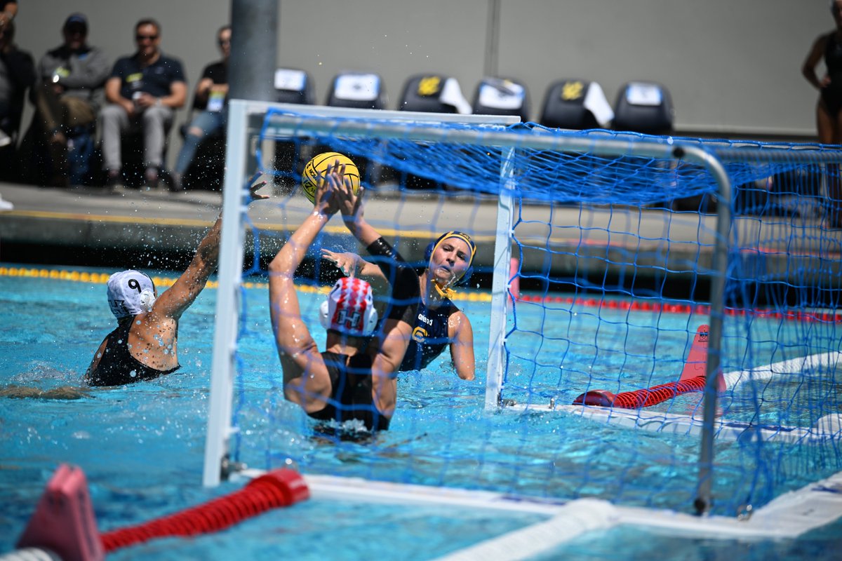 Cal Women’s Water Polo tweet media
