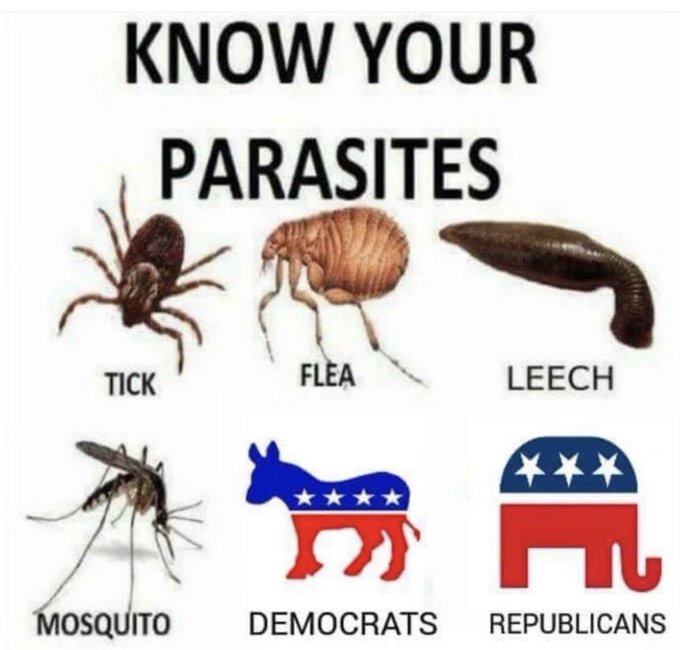 Libertarian Party of Pinellas County tweet media