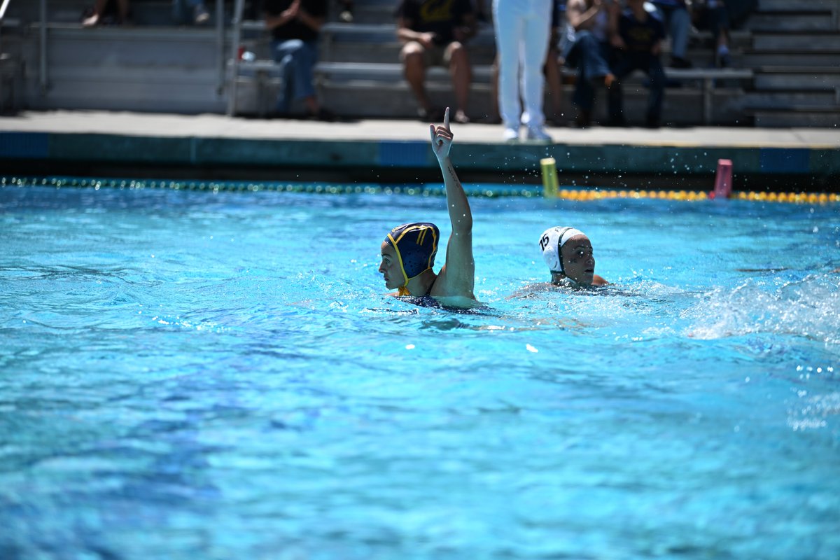 Cal Women’s Water Polo tweet media