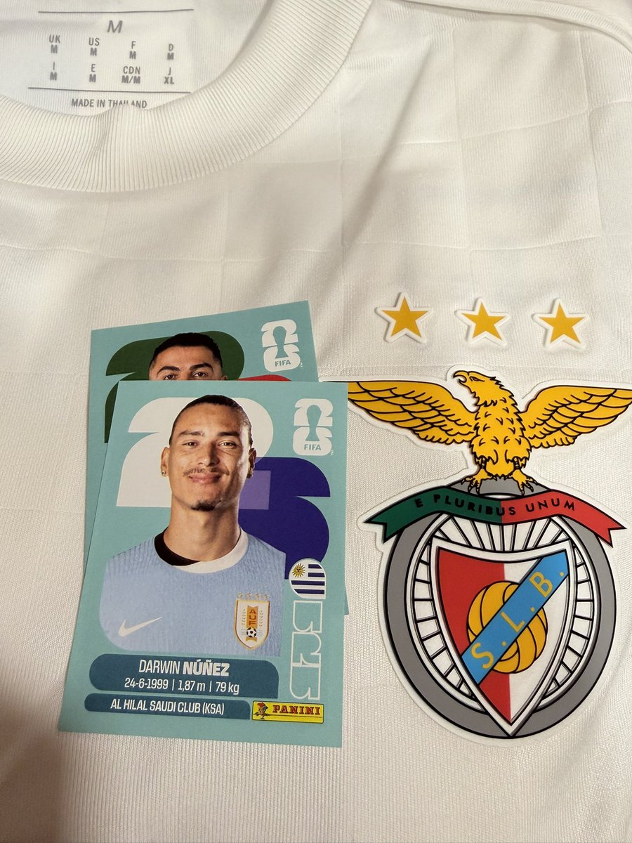 Mais um mundial, mais uma loucura pelos cromos😝