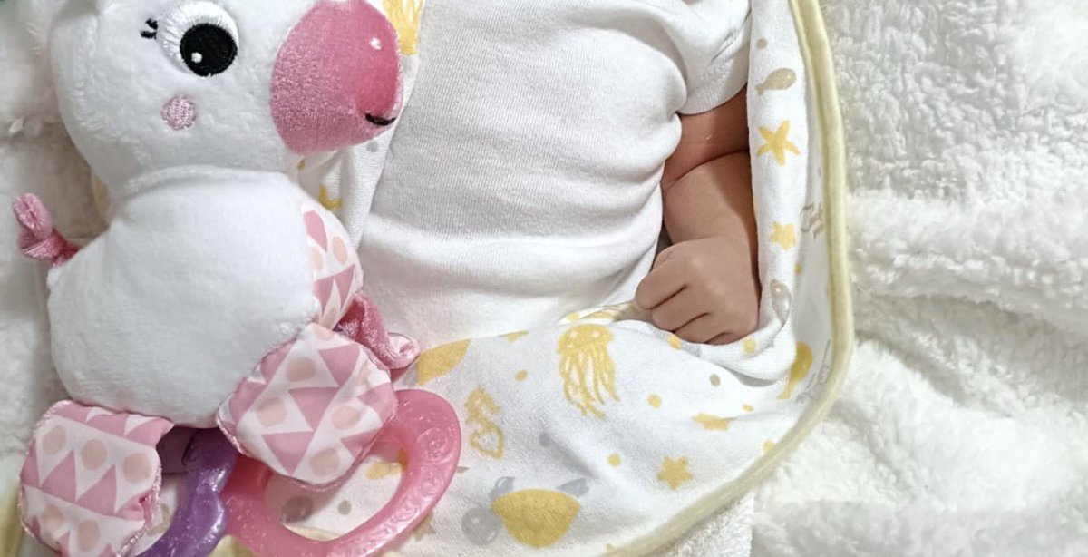 saritacortss's tweet photo. Ustedes no lo saben pero mi corazón late más rápido cuando veo que me llega una foto de mi Regi preciosa  🩷 https://t.co/pOPAVusZuU
