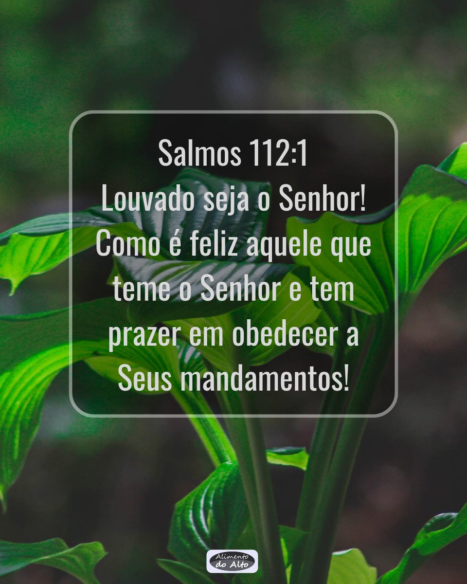 𝐹á𝒷𝒾𝑜 𝒞𝒽𝒶𝓇𝓁𝑒𝓈 ✍🏻 tweet media