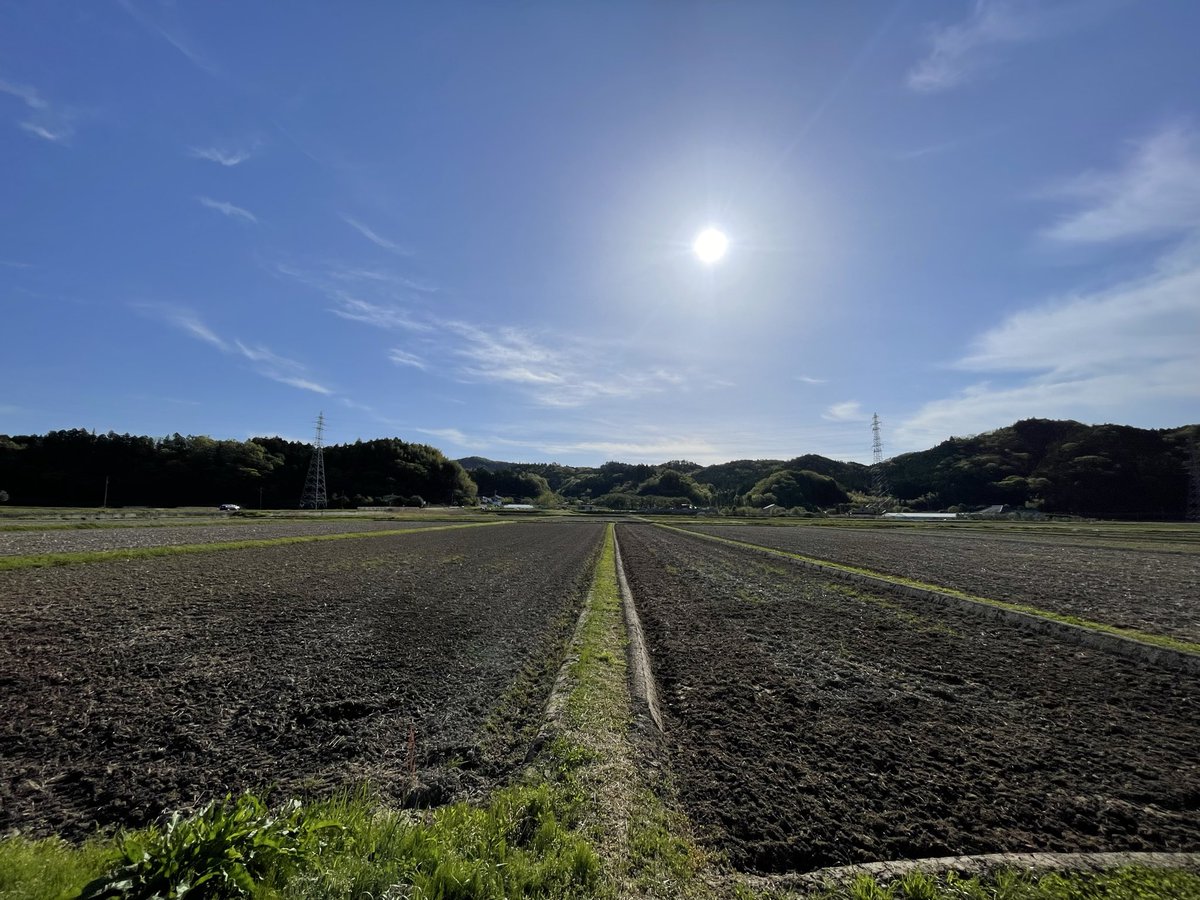 APEEKING2000 tweet media