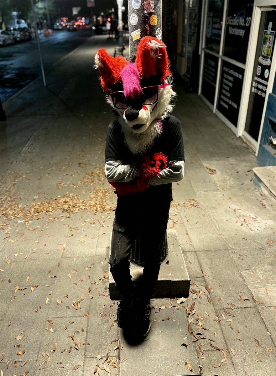 CashTheFox tweet media