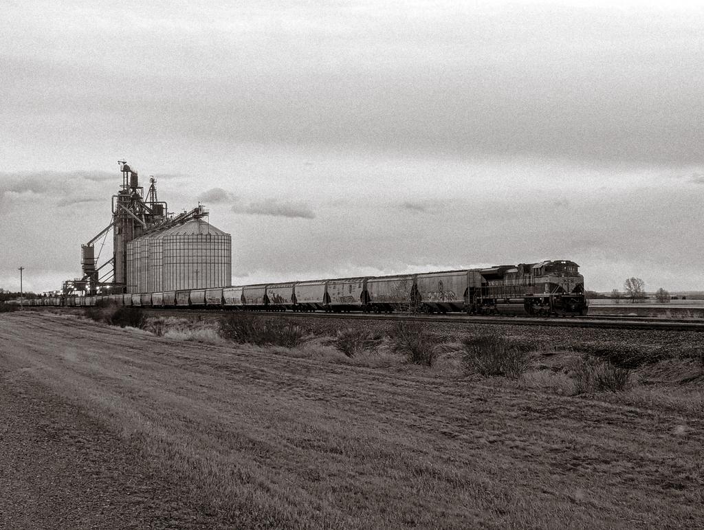 FrankReardon1's tweet image. My first time seeing a train 🚂 being loaded up. #Alberta APR.23.2026
#FranksSpringTrip2026