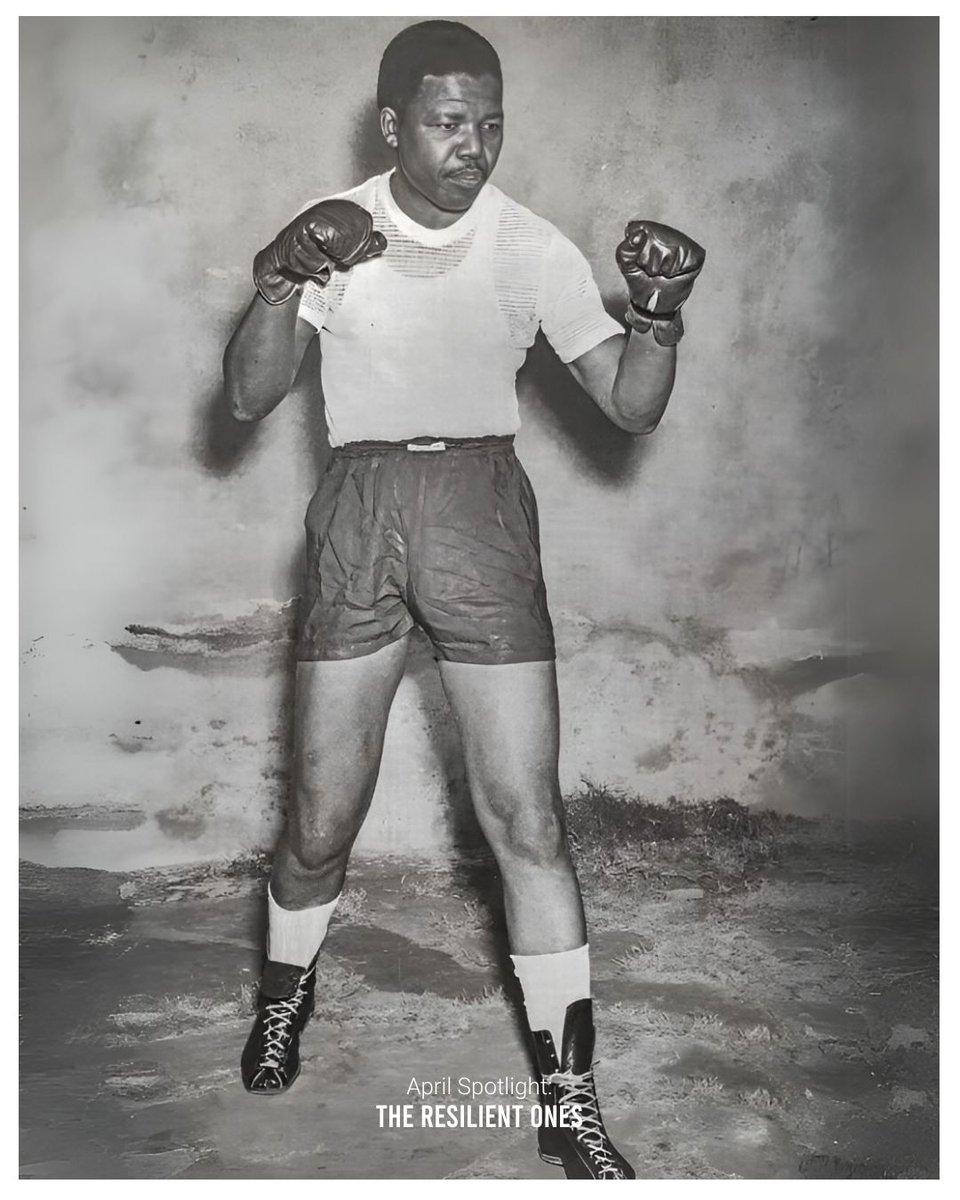 Roots Of Fight tweet media