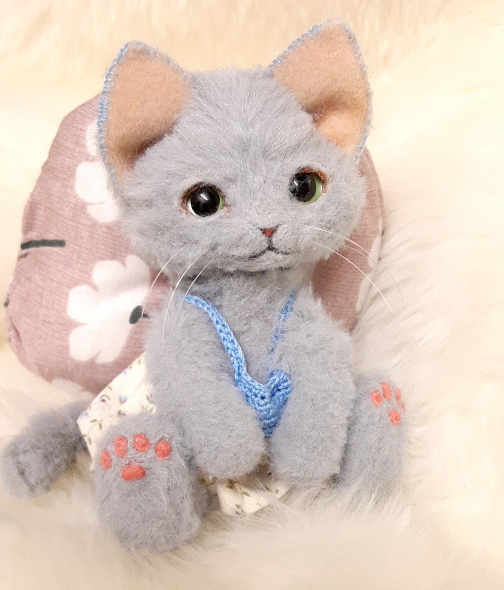 たぶん、ねこ tweet media