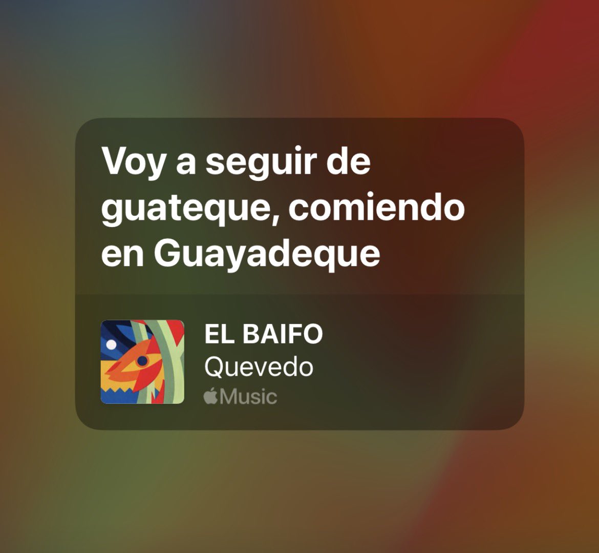 alexsalismo. tweet media