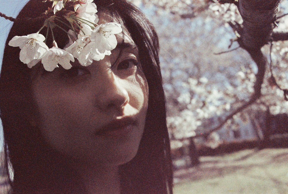 そんな底が見えないミスティックなところが倉島さんの魅力だなと感じる一方、底の見えない谷底を見るような怖さもある。(見てはいけないものみたいな)
そんな事を考えながら撮影時、必死にレフ板の正しい位置を探していました。